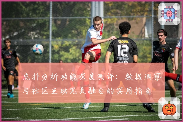 虎扑分析功能深度测评：数据洞察与社区互动完美融合的实用指南