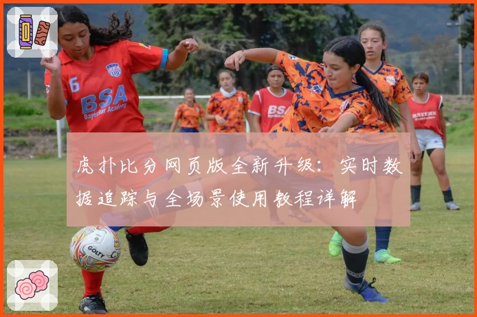虎扑比分网页版全新升级：实时数据追踪与全场景使用教程详解
