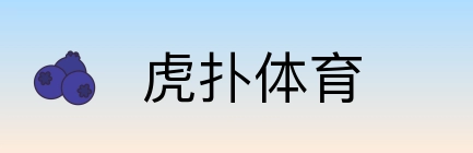 虎扑体育 Logo